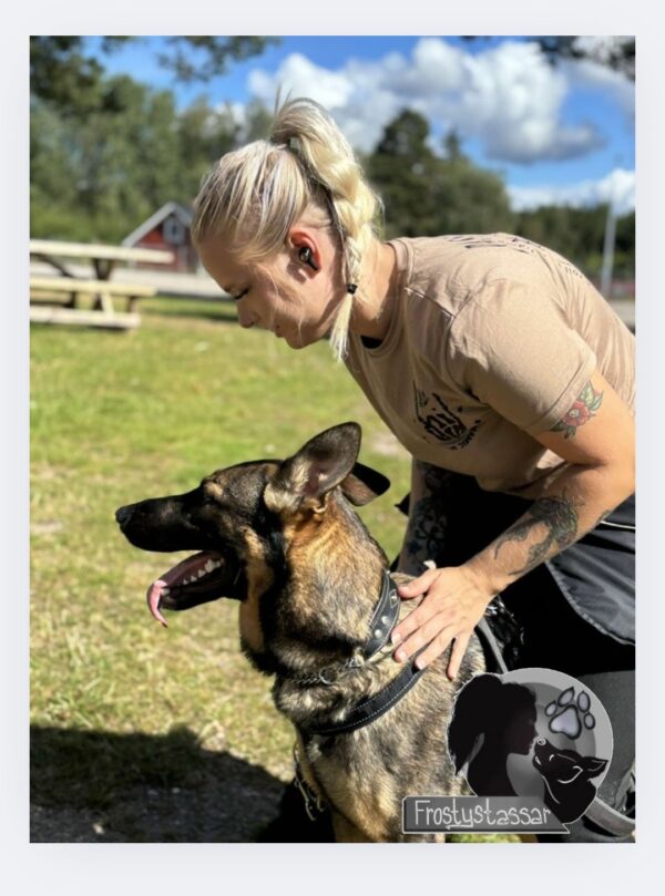 Hundrastning för dig som har en hund med det extra<3